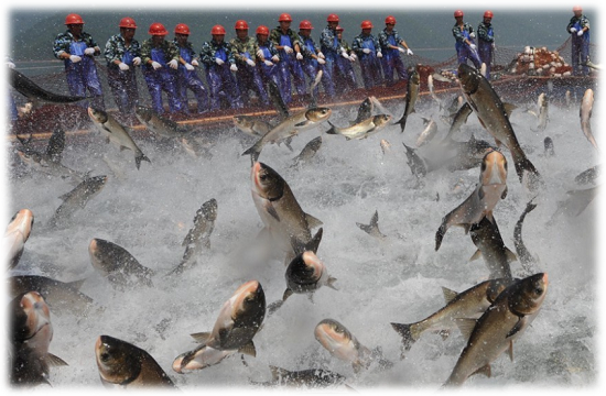 AQUACULTURE
