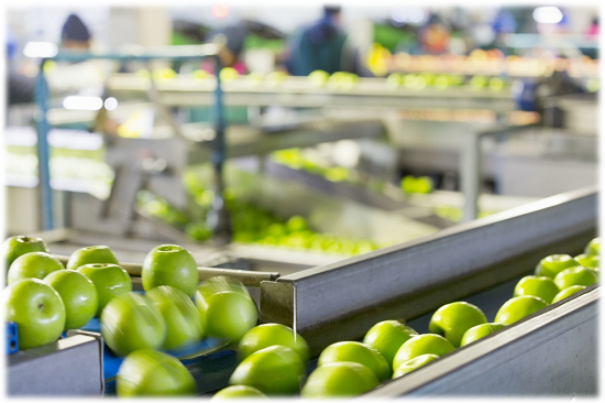 FOOD PROCESSING